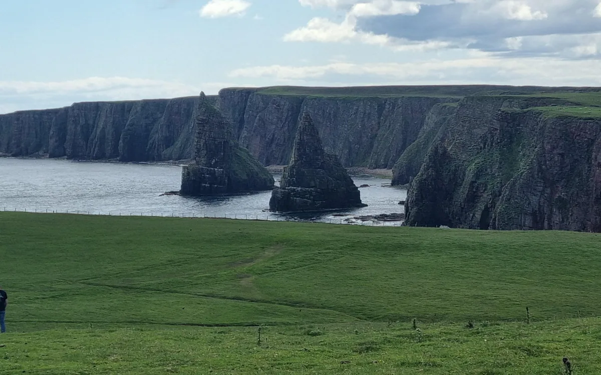 Two pointed sea stacks below dark green cliffs, with a field in front