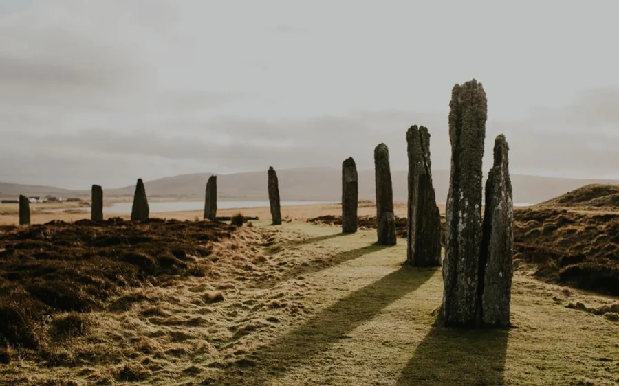 A row of tall standing stones on heather moorland in low light