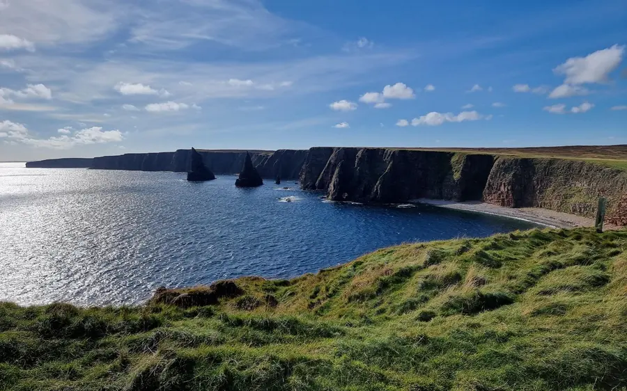 Sea stacks in a bay below tall dark cliffs, a grassy slope in front