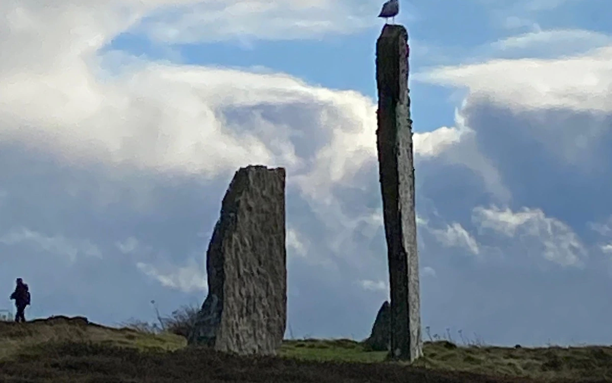 Two tall standing stones on a dark heather ridge under a cloudy sky, a gull perched on the taller one